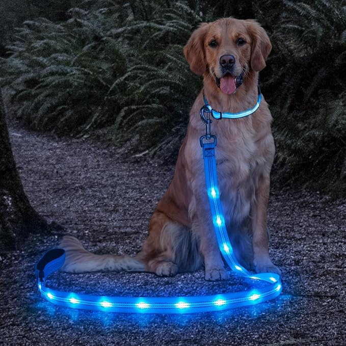 Candofly Light Up Dog Leash - 4 Ft Glowing Pet Leash Reachargeable - Nylon LED Dog Leash for Night Walking (Sky Blue)