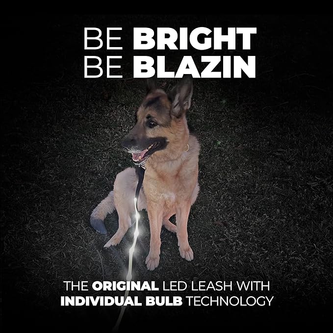 BLAZIN Light Up Dog Leash LED - 1,000 Feet of Visibility - USB Rechargeable Waterproof Glow in The Dark Dog Leash - 4 Foot, Light Blue
