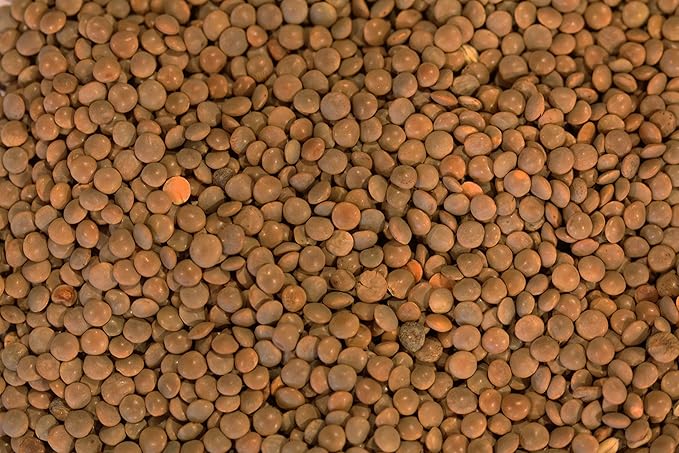 Yupik Organic Brown Lentils, 2.2 lb (35.2 oz), Pack of 6, Non-GMO, Vegan, Gluten-Free, Kosher, Raw, Salt-Free, High in Fiber & Protein, Ideal for Soups, Salads & Meat Alternatives