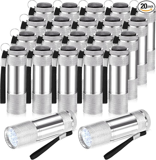 VIHOSE 20 Pcs Mini Flashlights Bulk, Bright Aluminum Handheld Flash Light with Lanyard Small LED Flashlights for Night Reading Emergency Hurricane Camping Hiking, Batteries Not Included(Silver)