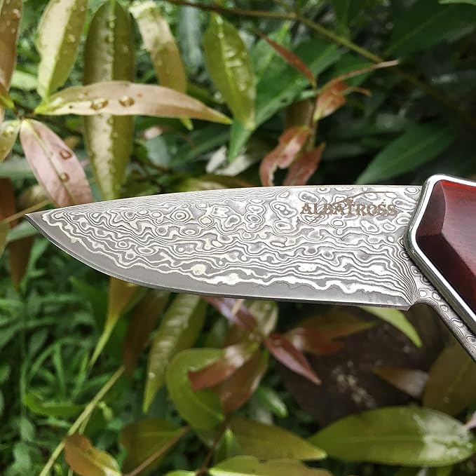 ALBATROSS Premium Damascus Folding Knife - EDC Pocket Knife with Cocobolo Wood Handle, 3.5" Blade, Liner Lock System - Outdoor Camping Hunting Survival Tool - Gift for Men-HGDK001