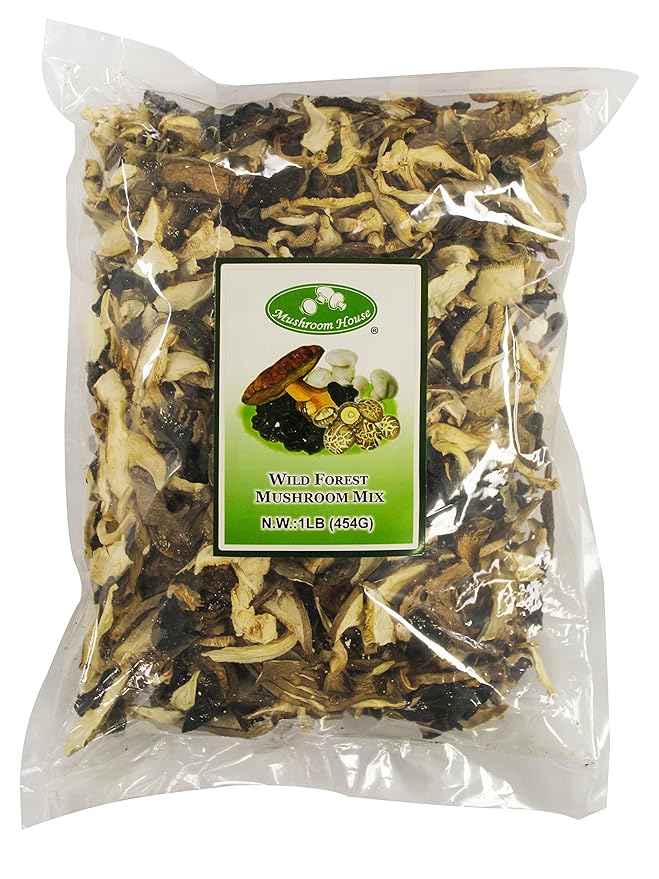 Mushroom House Dried Wild Forest Blend, 16 oz - Gourmet Mix of Porcini, Shiitake, Oyster & Woodear - Rich Umami Flavor for Pasta, Soups, Sauces & More -Long Shelf Life, Pantry Essential for Home Cooks
