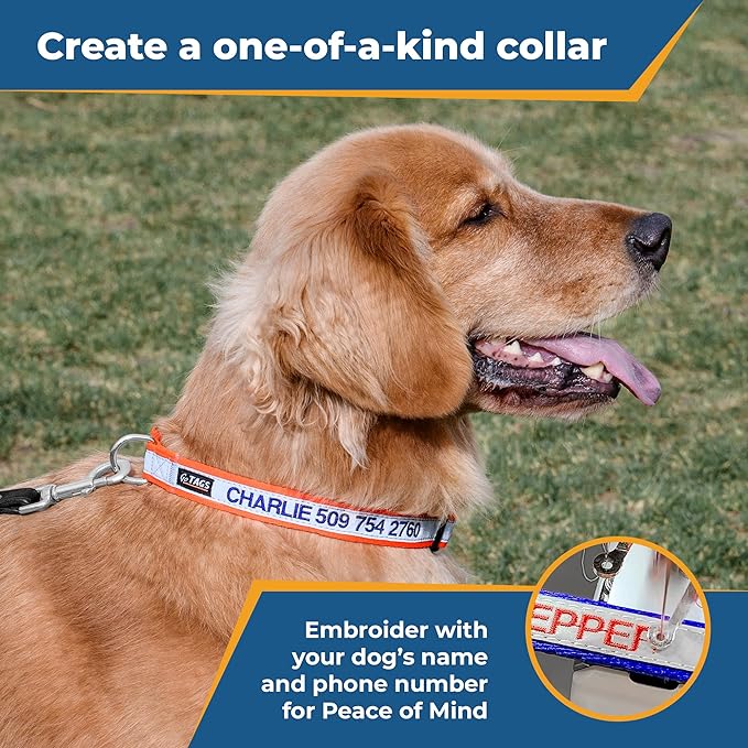 GoTags Reflective Personalized Dog Collar, Custom Embroidered with Pet Name and Phone Number in Blue for Boy and Girl Dogs, 3 Adjustable Sizes, Small, Medium, and Large
