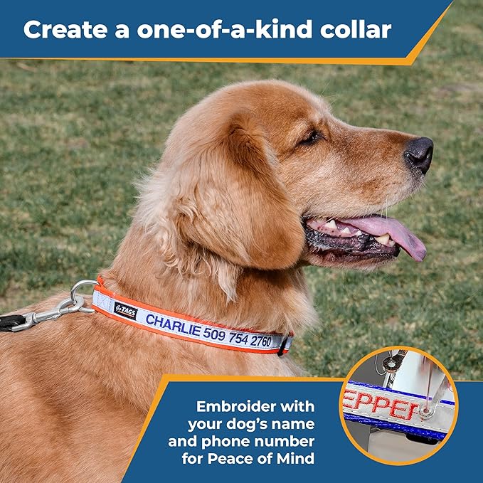 GoTags Reflective Personalized Dog Collar, Custom Embroidered with Pet Name and Phone Number in Pink for Boy and Girl Dogs, Adjustable Small