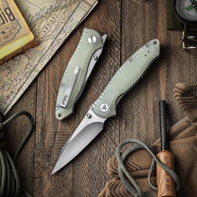 Folding Pocket Knife with Reversible Clip,Front Flipper EDC Knifefor Men,3in 14C28N Thumb Studs Blade, Liner Lock G10 Handle, Outdoor Camping Tool,Delphinus-03（Stonewash + Satin）