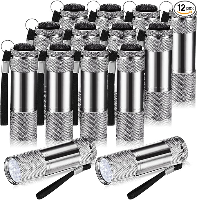 VIHOSE 12 Pcs Mini Flashlights Bulk, Bright Aluminum Handheld Flash Lights with Lanyard, Small LED Flashlights for Kids Night Reading Emergency Hurricane Camping Hiking Party Favors(Gray)