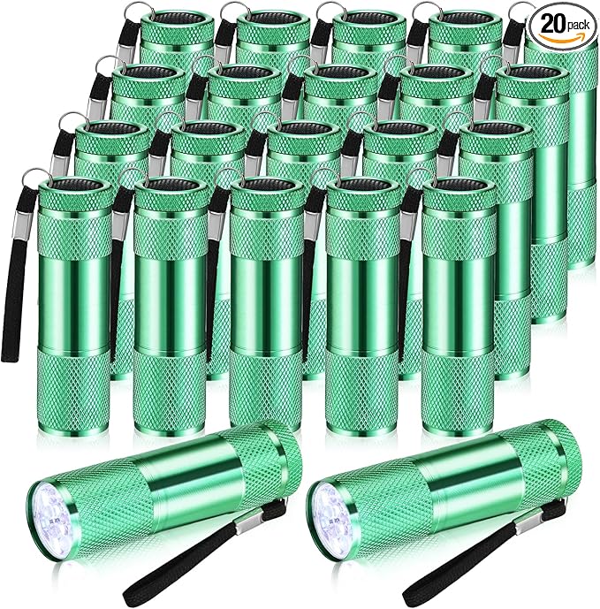 VIHOSE 20 Pcs Mini Flashlights Bulk, Bright Aluminum Handheld Flash Light with Lanyard Small LED Flashlights for Night Reading Emergency Hurricane Camping Hiking, Batteries Not Included(Green)