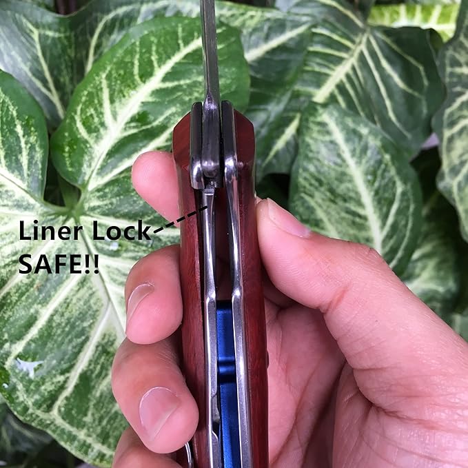 ALBATROSS Premium Damascus Folding Knife - EDC Pocket Knife with Cocobolo Wood Handle, 3.5" Blade, Liner Lock System - Outdoor Camping Hunting Survival Tool - Gift for Men-HGDK001