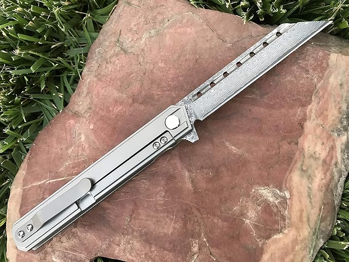 TACTICAL GEARZ Damascus Pocket Knife for EDC, Solid Titanium Handle, 67 Multi-Layered Damascus Steel VG10 Tanto Blade, Includes Sheath (Onyx XT Platinum)