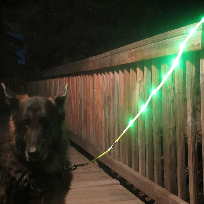 BLAZIN Light Up Dog Leash LED - 1,000 Feet of Visibility - USB Rechargeable Waterproof Glow in The Dark Dog Leash - 4 Foot, Black
