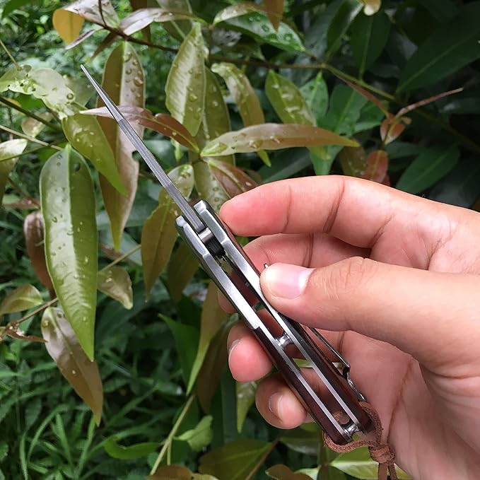 ALBATROSS Premium Damascus Steel Folding Pocket Knife with Liner Lock - EDC Knife with Sandalwood Handle - Perfect for Outdoor, Hunting, Survival & Gift Collection - HGDK007