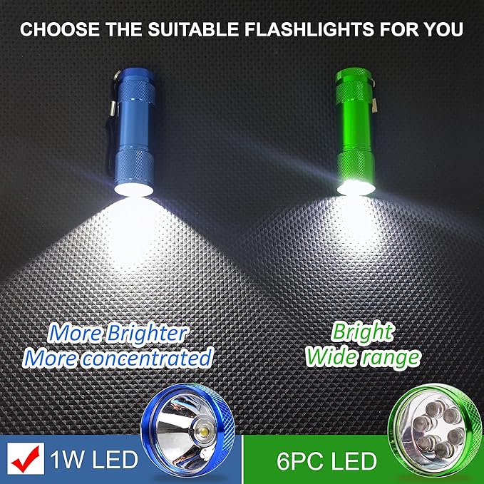 FASTPRO 20-Pack 100 Lumen Super Bright Aluminum LED Flashlights Set, with AAA Dry Batteries Included and Pre-Installed