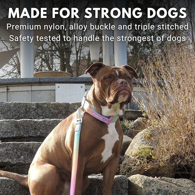 Spark Paws Tactical Dog Collar with Handle - Premium Quality Collar, Robust and Durable Design for Large, Strong Breeds - Pitbulls, Labradors, GSD - Pastel Icing - M