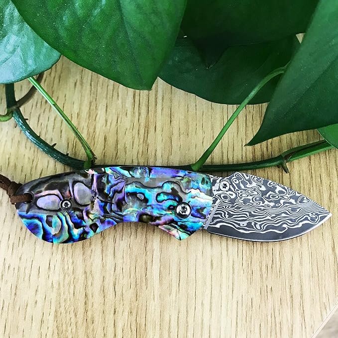 ALBATROSS Mini Pocket Knife - 4.75" Modern Damascus Steel Folding Knife with Abalone Seashell Handle - 71 Layer Handcrafted Blade - Liner Lock System - Luxury Gift Box - HGDK013B