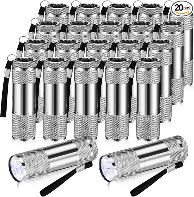 VIHOSE 20 Pcs Mini Flashlights Bulk, Bright Aluminum Handheld Flash Light with Lanyard Small LED Flashlights for Night Reading Emergency Hurricane Camping Hiking, Batteries Not Included(Gray)