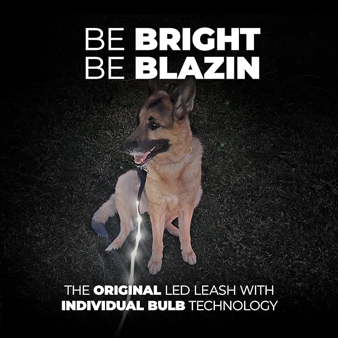 BLAZIN Light Up Dog Leash LED - 1,000 Feet of Visibility - USB Rechargeable Waterproof Glow in The Dark Dog Leash - 4 Foot, Black