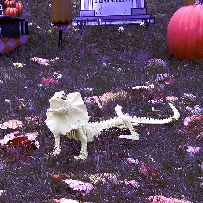 17" Frilled Lizard Skeleton Halloween Decoration- Weather Resistant for Indoor/Outdoor Spooky Decor- Perfect for Tabletop Party Decor, Haunted Houses, Graveyards- Agama Bones- Creepy Dragon Prop