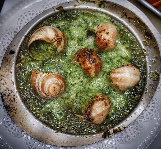 Premium Escargot Wild Burgundy Snails ??Rated Number One ??Best For Escargot Recipes, Various Sizes ??(8 Dozen Very Large)