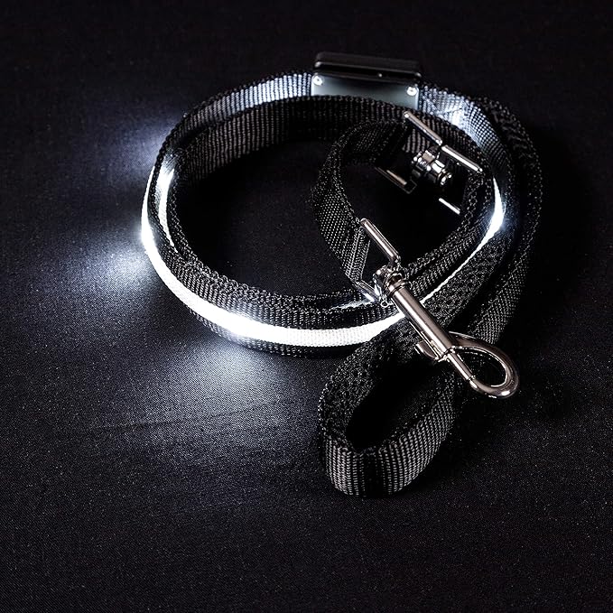 BLAZIN Light Up Dog Leash LED - 1,000 Feet of Visibility - USB Rechargeable Waterproof Glow in The Dark Dog Leash - 4 Foot, Black