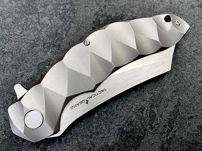 Titanium Pocket Folding Knife, Solid Tc4 Titanium Handle, CPM-D2 Steel DAO Blade, Includes Sheath (Zeus)
