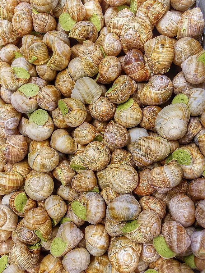 Premium Escargot Wild Burgundy Snails ??Rated Number One ??Best For Escargot Recipes, Various Sizes ??(8 Dozen Very Large)